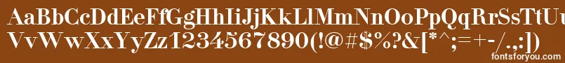 DidonaNormal Font – White Fonts on Brown Background