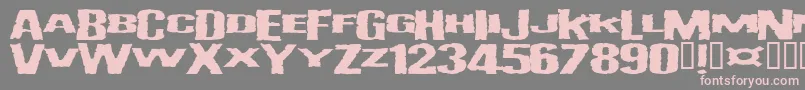 フォントVulgar – 灰色の背景にピンクのフォント
