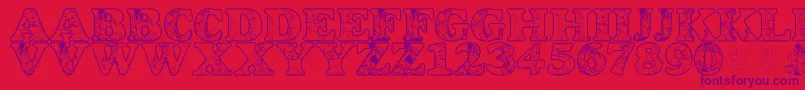 LmsChristophersFriends Font – Purple Fonts on Red Background