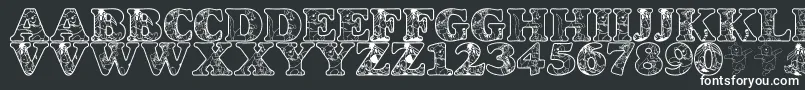 LmsChristophersFriends Font – White Fonts on Black Background
