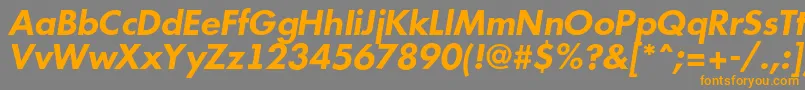 AFuturicabsBolditalic Font – Orange Fonts on Gray Background