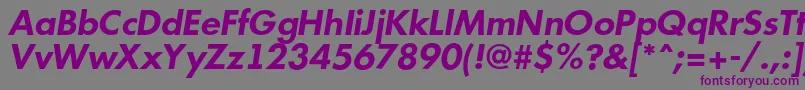 AFuturicabsBolditalic Font – Purple Fonts on Gray Background