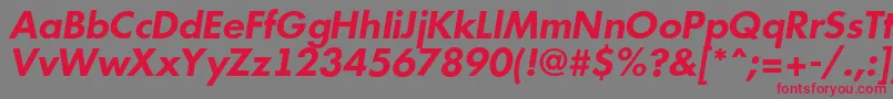 AFuturicabsBolditalic Font – Red Fonts on Gray Background