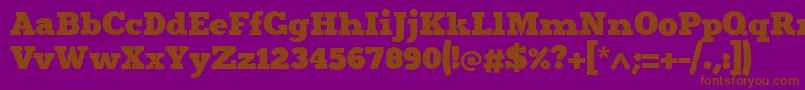 Merit4 Font – Brown Fonts on Purple Background