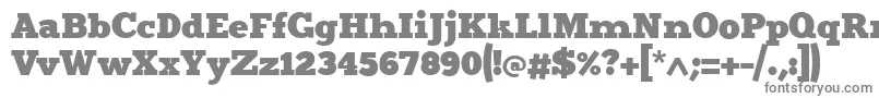 Шрифт Merit4 – серые шрифты