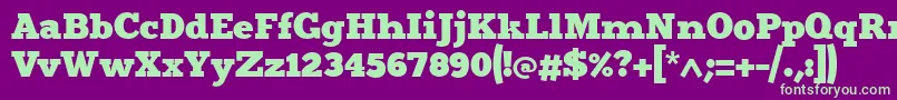 Merit4 Font – Green Fonts on Purple Background
