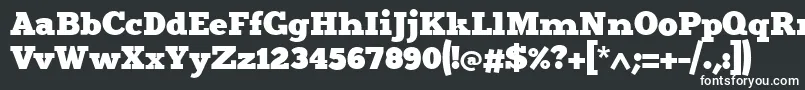 Merit4 Font – White Fonts on Black Background