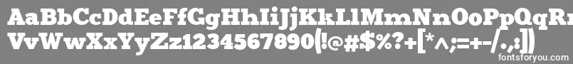 Merit4 Font – White Fonts on Gray Background