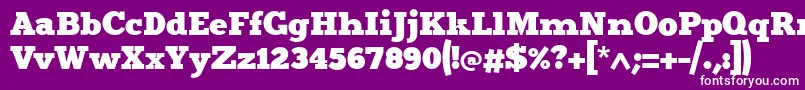 Merit4-Schriftart – Weiße Schriften auf violettem Hintergrund