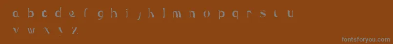 Maeraフォントについての詳細 フォントMaera – 茶色の背景に灰色の文字