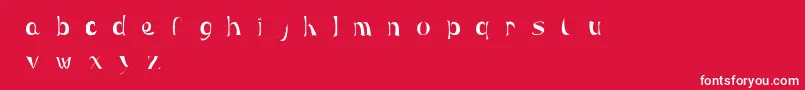 Maera Font – White Fonts on Red Background