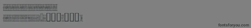 Czcionka Sardinescanned – czarne czcionki na szarym tle