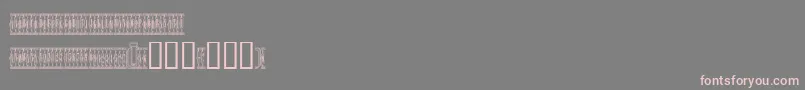 フォントSardinescanned – 灰色の背景にピンクのフォント