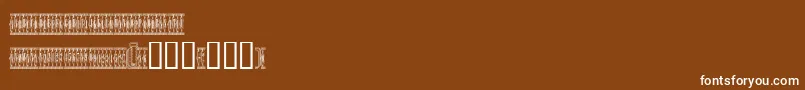 Czcionka Sardinescanned – białe czcionki na brązowym tle