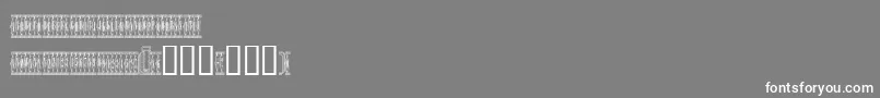 Czcionka Sardinescanned – białe czcionki na szarym tle
