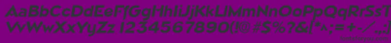 NapaSfBoldItalic Font – Black Fonts on Purple Background