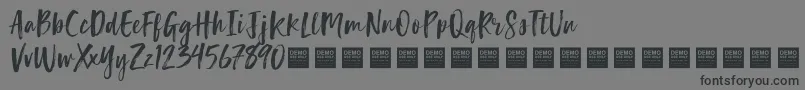 LuckyTurnsDemo Font – Black Fonts on Gray Background