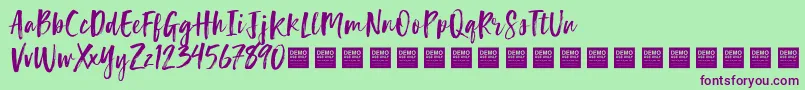 LuckyTurnsDemo-Schriftart – Violette Schriften auf grünem Hintergrund
