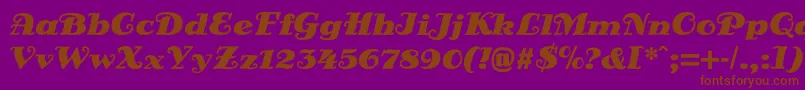 DsSienaFett Font – Brown Fonts on Purple Background