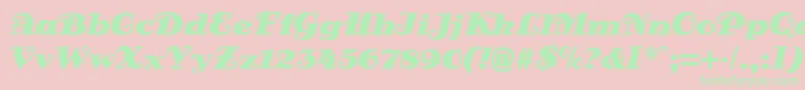 DsSienaFett Font – Green Fonts on Pink Background