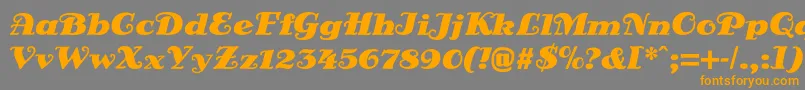 DsSienaFett-Schriftart – Orangefarbene Schriften auf grauem Hintergrund