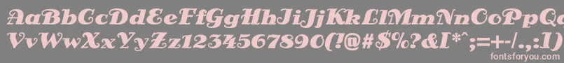 DsSienaFett Font – Pink Fonts on Gray Background