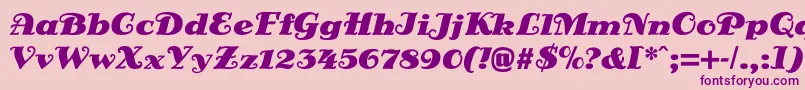 DsSienaFett Font – Purple Fonts on Pink Background