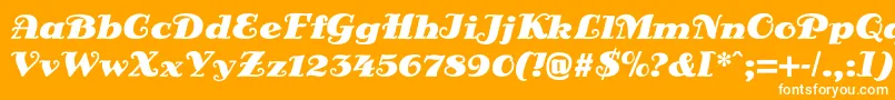 DsSienaFett Font – White Fonts on Orange Background