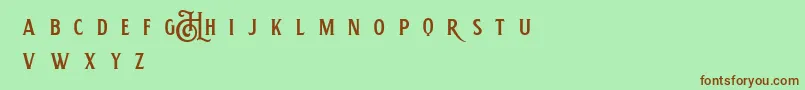 Шрифт HemeraIiDemo – коричневые шрифты на зелёном фоне