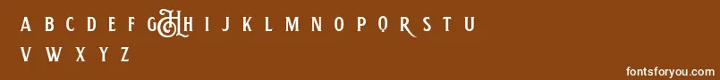 Шрифт HemeraIiDemo – белые шрифты на коричневом фоне