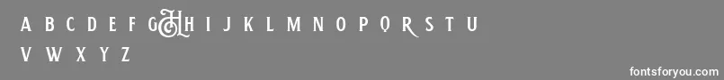 フォントHemeraIiDemo – 灰色の背景に白い文字