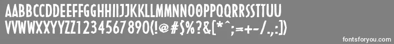 LinotypenordicaBold Font – White Fonts on Gray Background