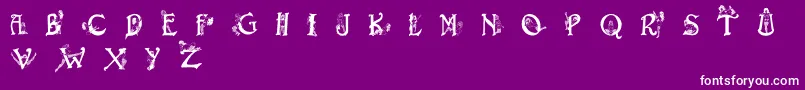 Eroticapssolid Font – White Fonts on Purple Background