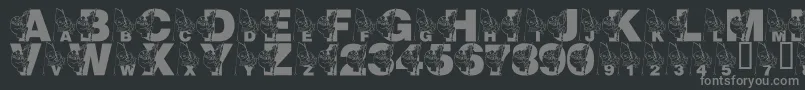 fuente LmsMrJeremyFisher – Fuentes Grises Sobre Fondo Negro