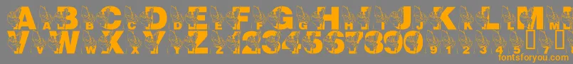 LmsMrJeremyFisher-Schriftart – Orangefarbene Schriften auf grauem Hintergrund