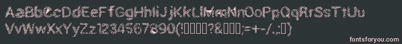 Schnoodle Font – Pink Fonts on Black Background