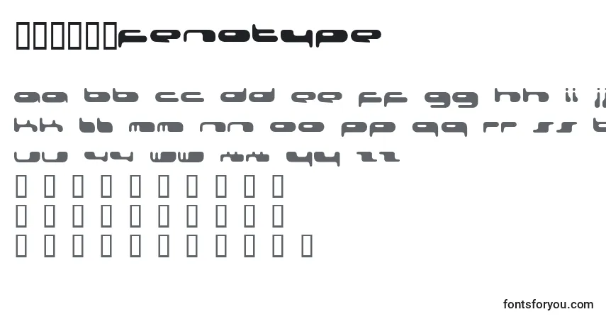 Schriftart 080203Fenotype – Alphabet, Zahlen, spezielle Symbole