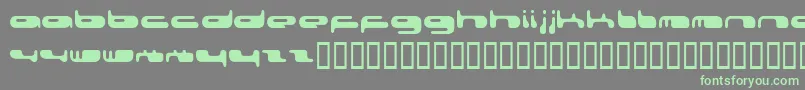 080203Fenotype Font – Green Fonts on Gray Background