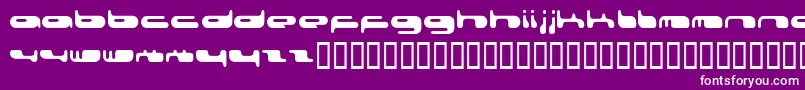 080203Fenotype Font – White Fonts on Purple Background