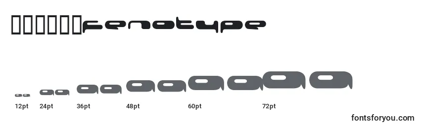 080203Fenotype Font Sizes