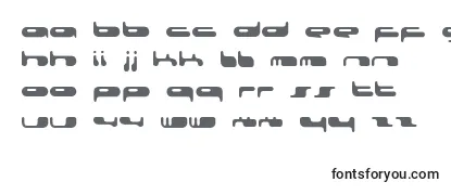 Review of the 080203Fenotype Font