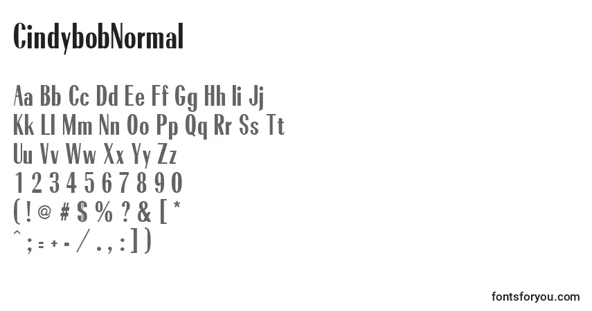 Шрифт CindybobNormal – алфавит, цифры, специальные символы