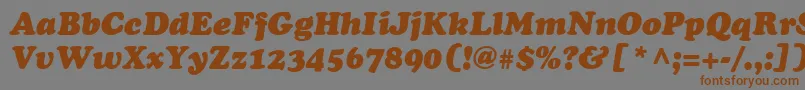 CooperLtBlackItalic-fontti – ruskeat fontit harmaalla taustalla