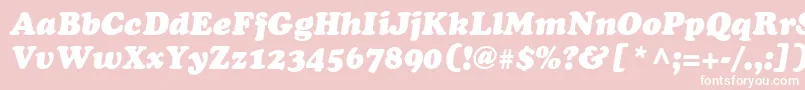 CooperLtBlackItalic Font – White Fonts on Pink Background