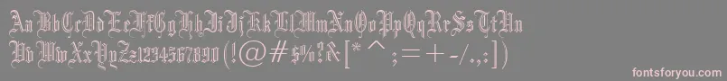 Dr.PoGothicru Font – Pink Fonts on Gray Background