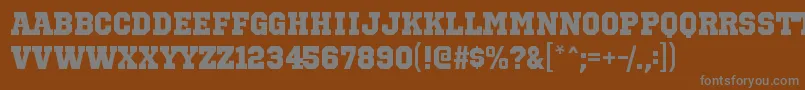 OctinsportshvRegular-Schriftart – Graue Schriften auf braunem Hintergrund