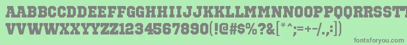 OctinsportshvRegular Font – Gray Fonts on Green Background