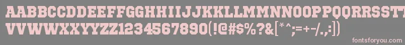 OctinsportshvRegular Font – Pink Fonts on Gray Background