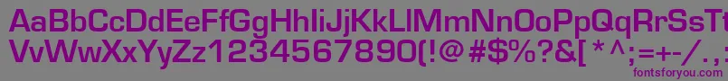 EuromodeBold Font – Purple Fonts on Gray Background