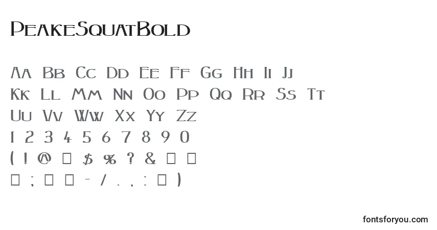 characters of peakesquatbold font, letter of peakesquatbold font, alphabet of  peakesquatbold font